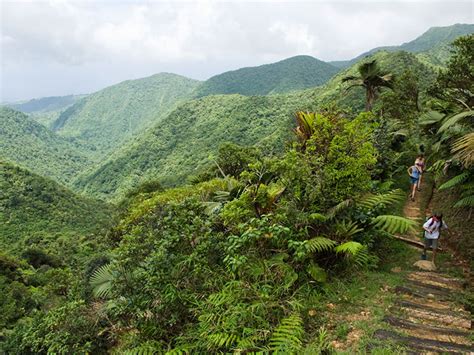 Morne Trois Pitons National Park Dominica A Virtual Dominica