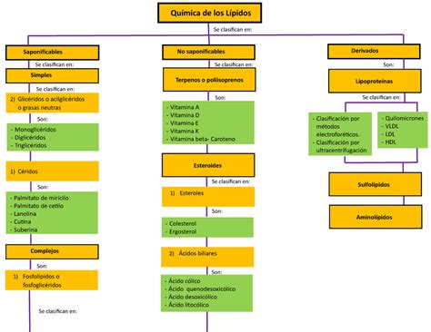 Top 93 imagen lípidos mapa mental Viaterra mx