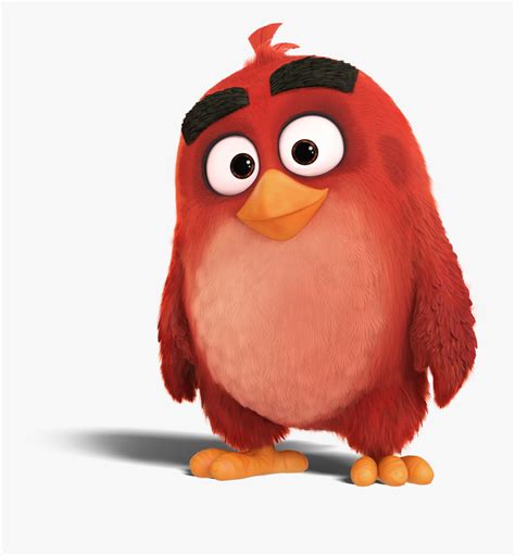 Angry Birds Red Png Hd Png Pictures Vhv Rs