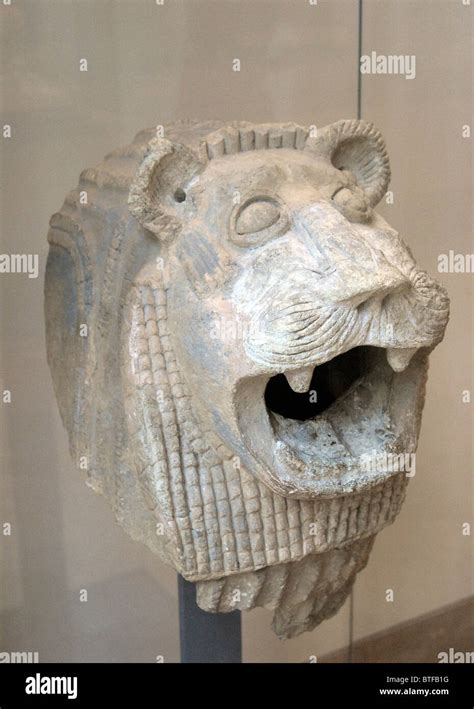 Lion Head Sumerian And Babylonian Art Louvre Museum Hi Res Stock