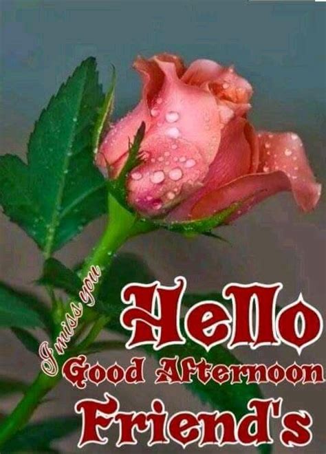 Hello Good Afternoon Friends Pictures Photos And Images For Facebook