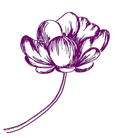 Flower is the symbol for feminine and is associated with anything beautiful. Cool Flower Drawings | flower sketch by cuzzycutegirl ...