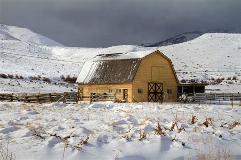 Photo Barn In The Fresh Snow Barn Stables Old