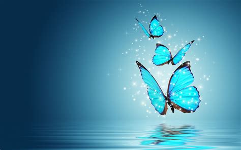 Blue Morpho Butterfly Hd Wallpapers 20748 Baltana
