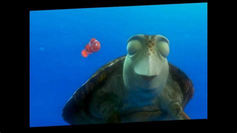 Finding Nemo Crush The Turtle