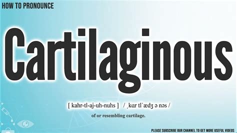 Cartilaginous Pronunciation How To Pronounce Say Cartilaginous