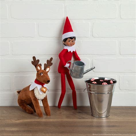 Elf On The Shelf│elf Pets│ideas For Scout Elves Elf On The Self The