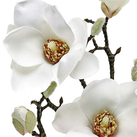 Floristik24pl Gałąź Magnolii Biała Gałąź Dekoracyjna Sztuczny Kwiat