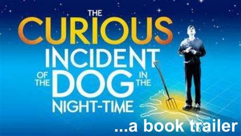 The Curious Incident 1