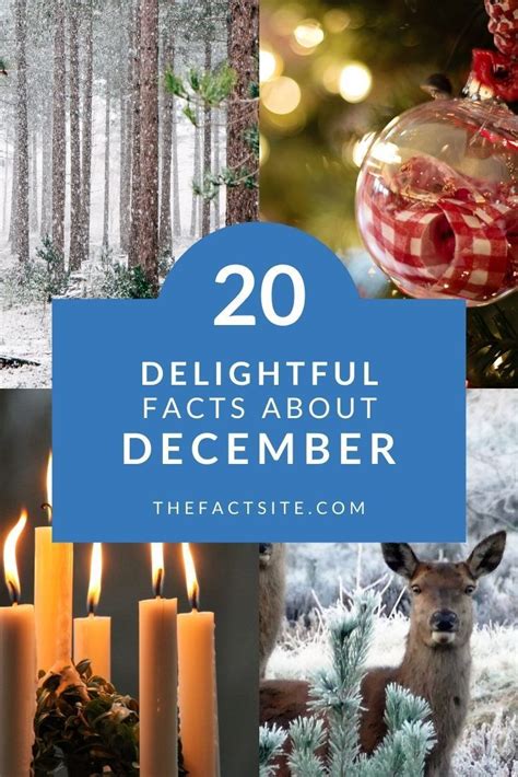 20 Delightful Facts About December The Fact Site Holiday History