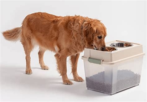 Top 7 Best Dog Food Storage Containers For Pet Owners 2021 And 2022 2024