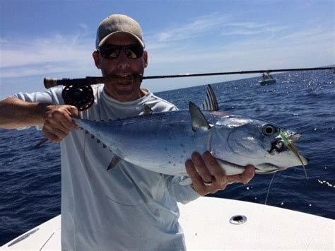 David Bullard S Fly Fishing Catch Of A False Albacore Little Tunny