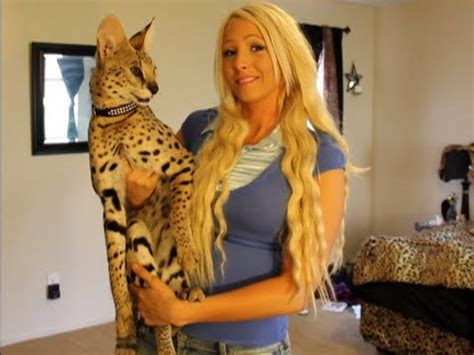 That's why breed clubs have rescue organizations devoted to taking care of homeless cats. Savannah Cat Blog - Select Exotics - Tips About Savannahs
