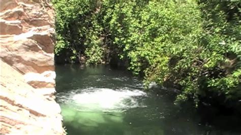 Now emma and regina both have to rely on their family to help them in many ways. Cliff Jumping at Big Falls - YouTube