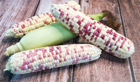 Waxy Corn Picture And Hd Photos Free Download On Lovepik