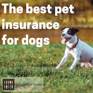 Best Pet Insurance for Dogs 2019 - Bought By Many