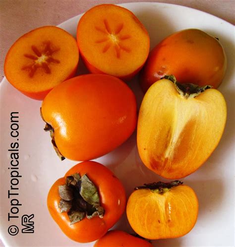 Plus, they product buckets of juicy cherries with a uniquely tart flavor, so you'll have plenty for your favorite recipes. Fruit Trees - Home Gardening Apple, Cherry, Pear, Plum ...