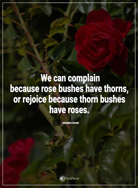 Anger is like a thorn in the heart. We can complain because rose bushes have thorns, or rejoice because thorn bushes have roses ...