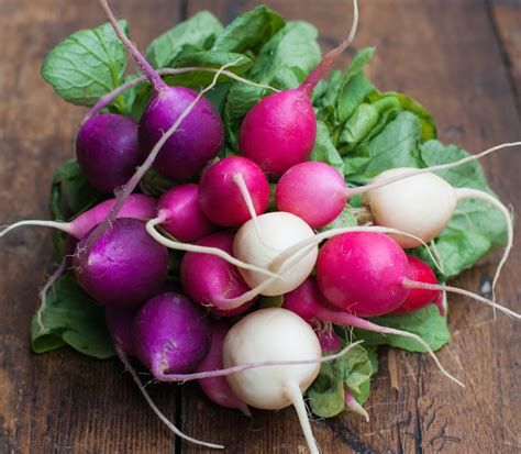 All About Gardening Tips For Growing Healthy Micro Greens Radish