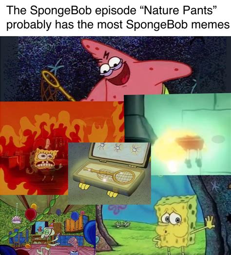 I Know Some Are Dead Memes But Hey Rbikinibottomtwitter Spongebob