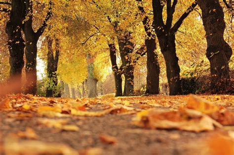 Why We Love Autumn Bonprix The Blog