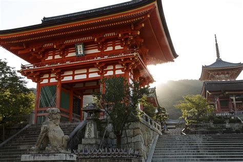 Kyoto Temple Tour Shinto And Buddhism With Historian Context Travel