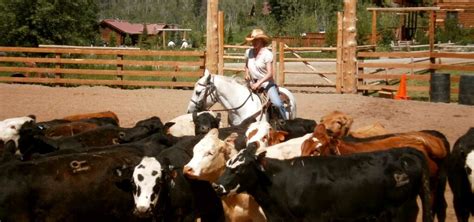 Burnt Well Guest Ranch Roswell Roadtrippers