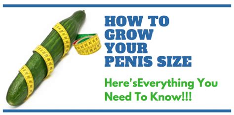 Guide To Growing Your Penis With Phalogenics For Big Boys