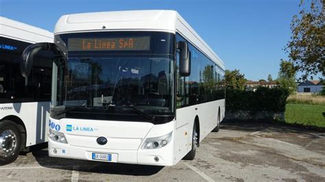 Alla Scoperta Dei 20 Nuovi Bus Elettrici Per Il Trasporto Pubblico A