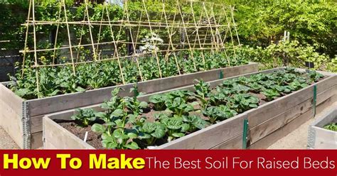 Soil For Raised Beds How To Make The Best Raised Bed Soil