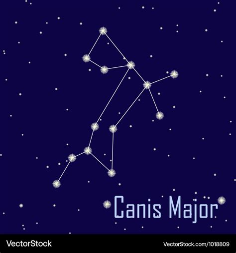 The Constellation Canis Major Star In The Night Vector Image