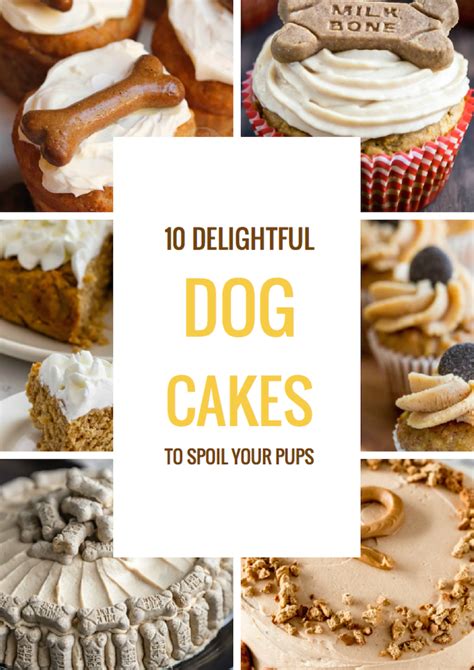 The 10 Best Dog Pupcakes And Dog Birthday Cakes How To Make Dog Dogs