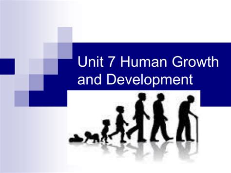 Stages Of Human Growth And Development Chart