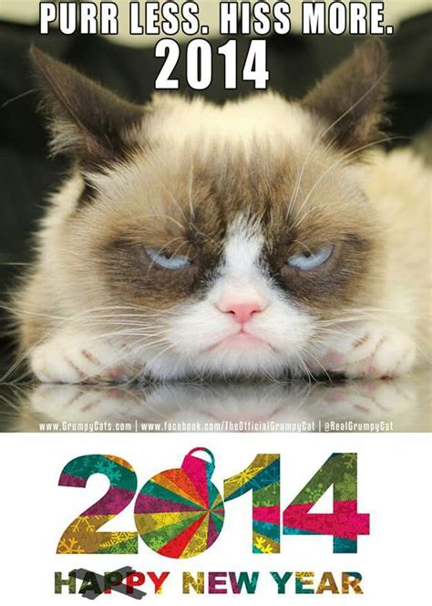 Grumpy Cat Happy New Year Comedy Truth And Lies Pinterest