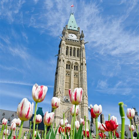 Top 10 Things To Do In Ottawa With Kids