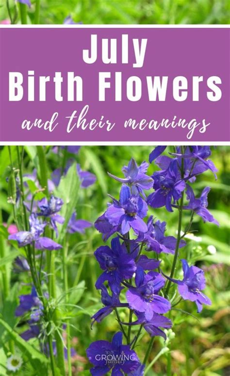 To help you find that perfect flower, we've created this flower meaning guide. July birth flower: Larkspur & Water Lily - Growing Family