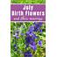 July Birth Flower Larkspur & Water Lily  Growing Family