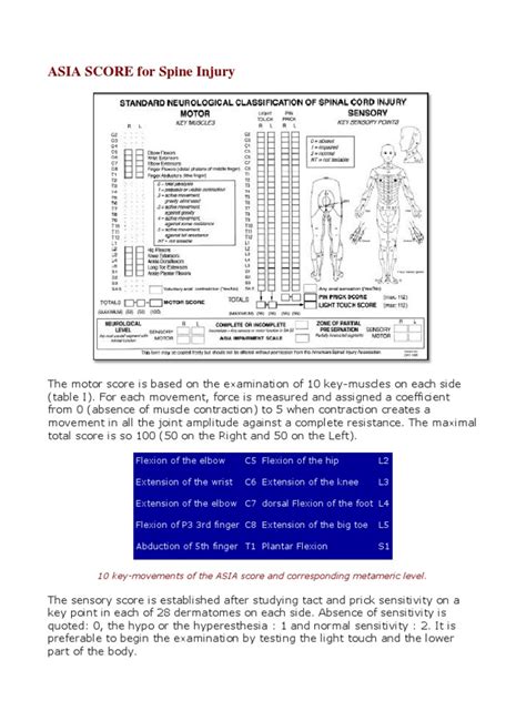 Asia Score For Spine Injury 10 Key Movements Of The Asia Score And