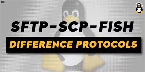 What Is The Difference Between SFTP SCP And FISH Protocols Its