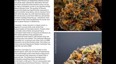 Strain Review Purple Urkle By Fabulous Cannabis Co The Highest Critic