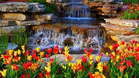 Waterfall On Rocks Closeup View Of Red Yellow Flowers Green Leaves