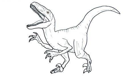 Blue the velociraptor coloring page. Printable Jurassic World Velociraptor Coloring Pages Pdf ...