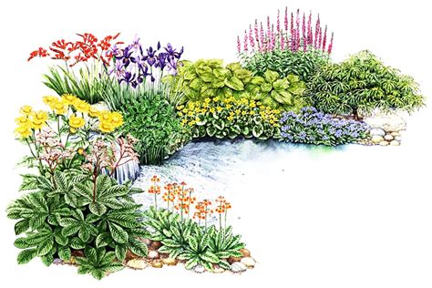 Flower Garden Png High Quality Image Png All Png All
