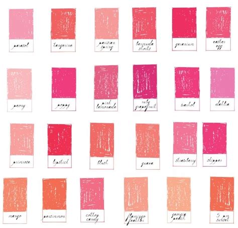Mr Boddington Pinks Pink Palette Color Design Color