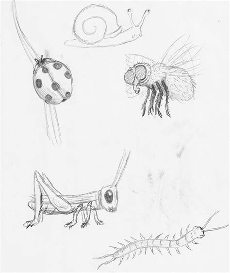 Creepy Crawlers By Weaponmadness On Deviantart