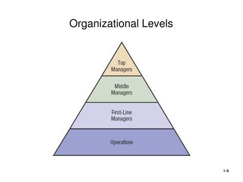 What Level Of Organization Is A Leaf Tylerydesign