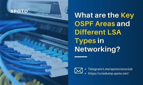 What Are The Key Ospf Areas And Different Lsa Types In Networking