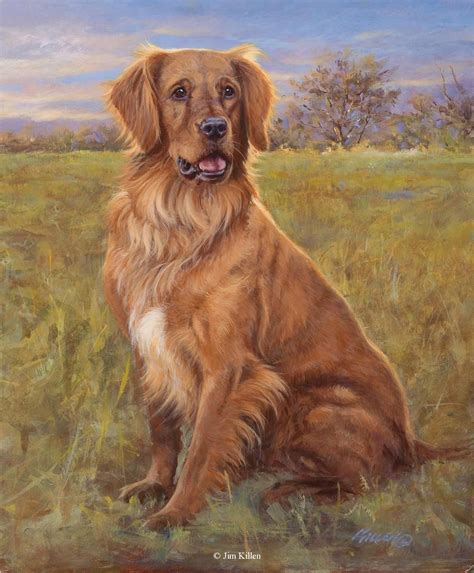 Jeb Golden Retriever Golden Retriever Artwork Original Retrievers