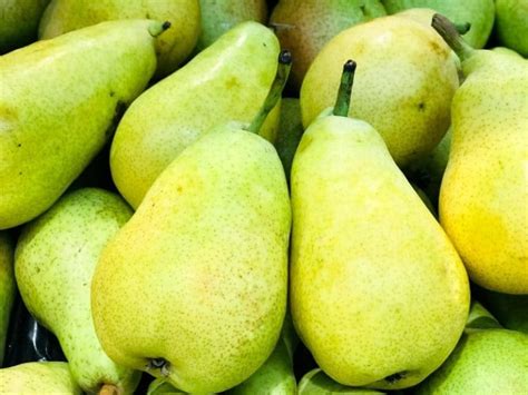 10 Popular And Common Types Of Pears Complete Guide 2023 Northern