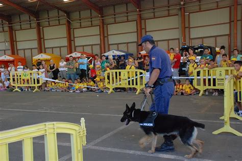 Simple Science: How to Make a Volcano with Kids